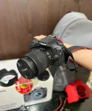stock