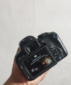 stock