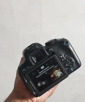 stock