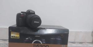 stock
