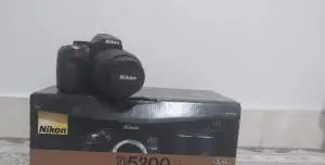stock