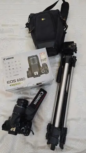 stock