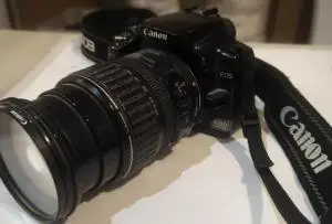stock