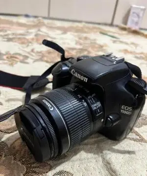 stock