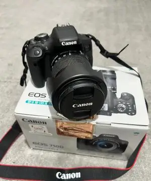 stock