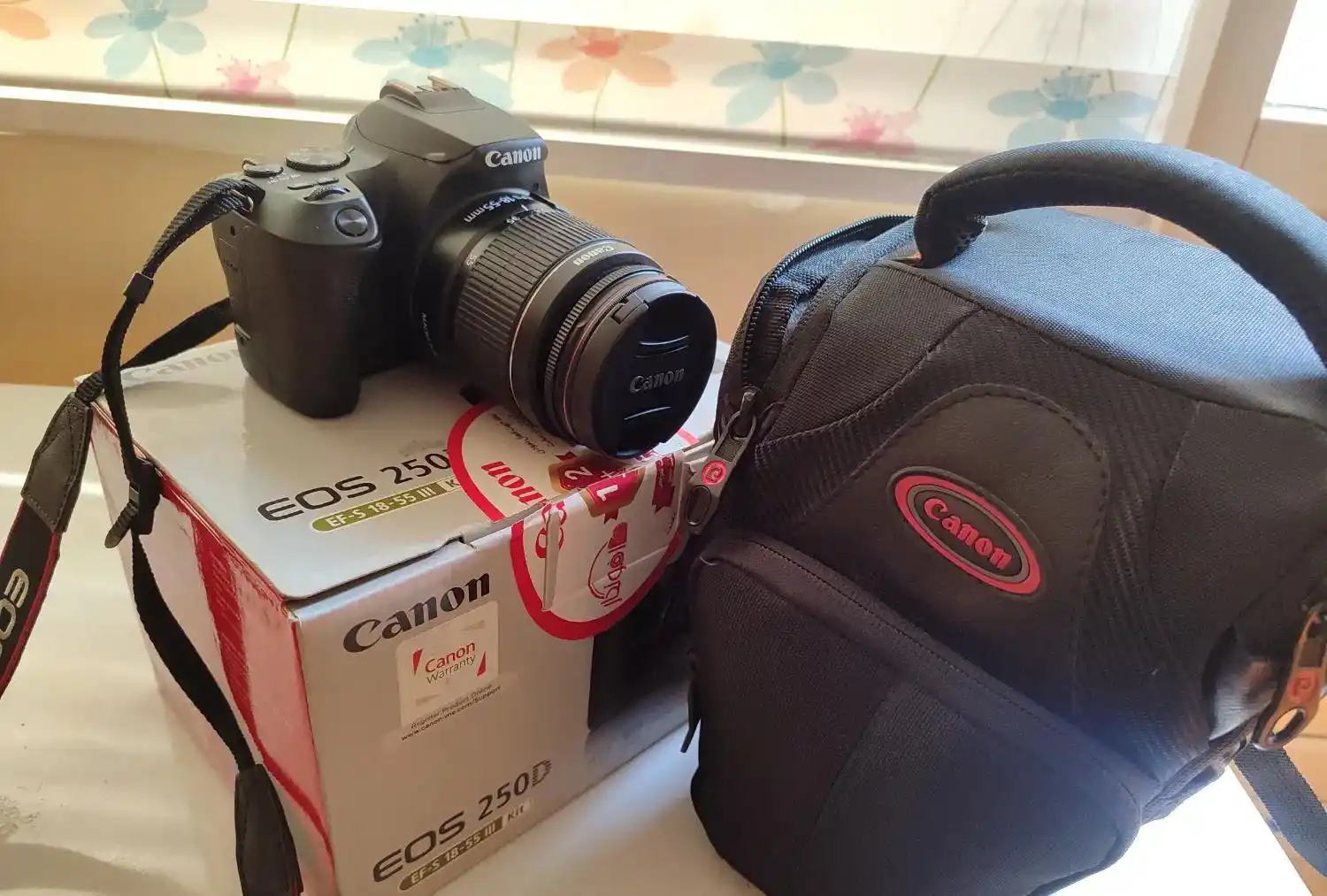 دوربین Canon EOS 250D دست دو