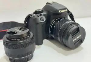 stock