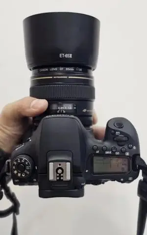 دوربین حرفه‌ای کانن | Canon 90D+18-135mm USM دست دوم