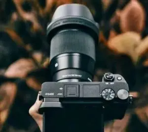 stock
