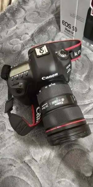 stock