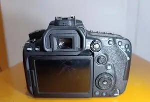stock