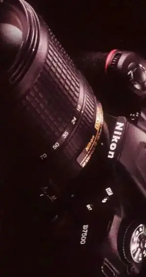 stock