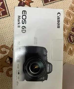stock