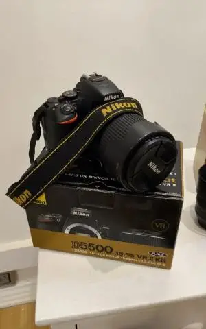 stock