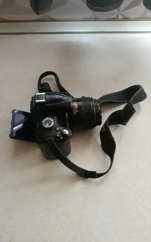 stock
