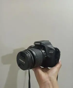 stock