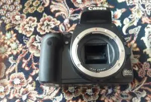 stock