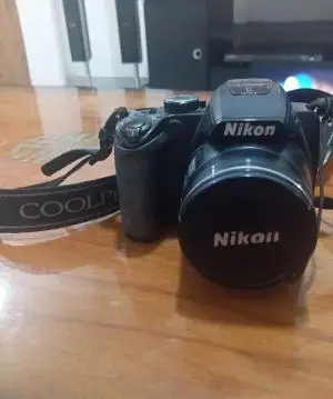 stock