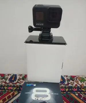 stock