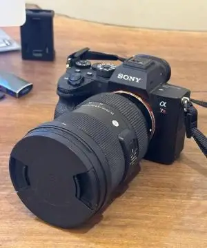 stock