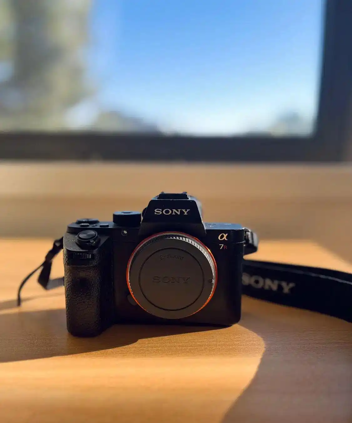 دوربین Sony a7 R ii دست دو