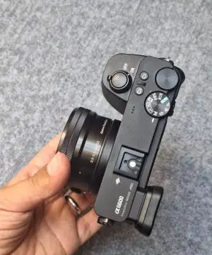 stock