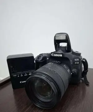 stock