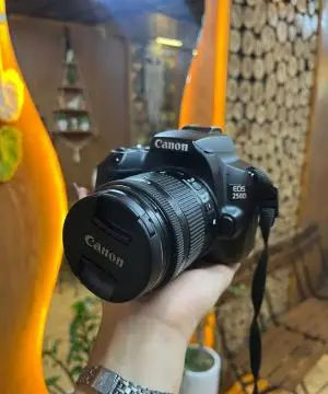 stock