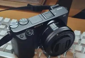 stock
