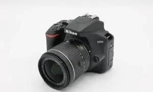 stock