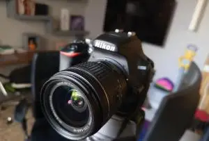 stock