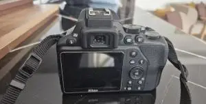 stock