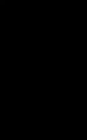 دوربین NIKON D5600 همراه با لنز دست دوم