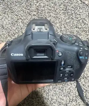 stock