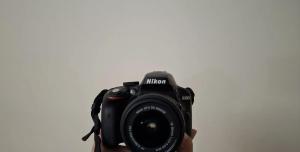 stock