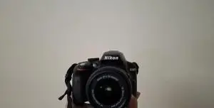 stock