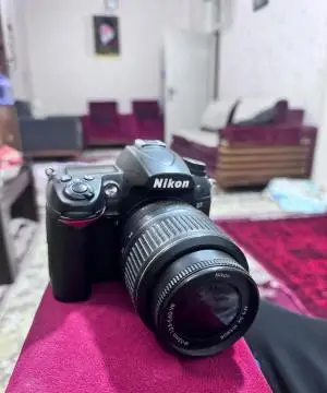 stock