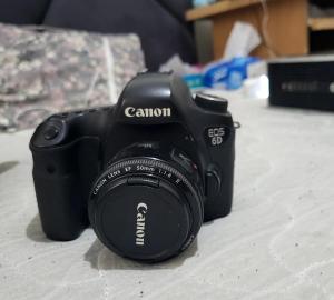 stock
