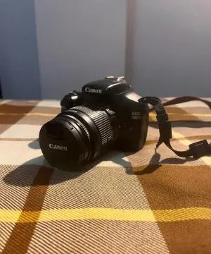 stock