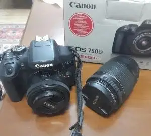 stock