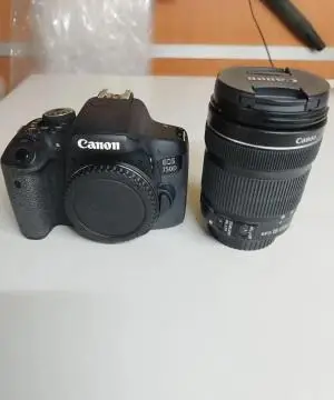 stock