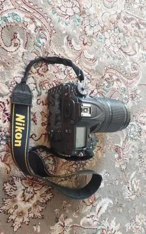 stock