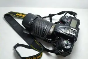 stock