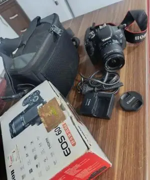 stock