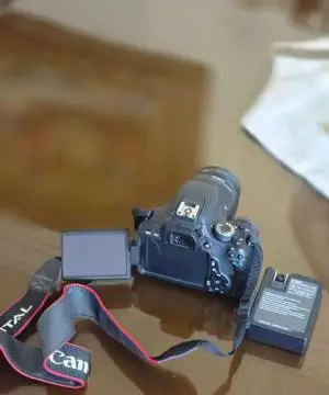 stock