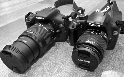 What to pay attention to to compare Canon cameras