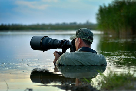 Best lens for wildlife photography